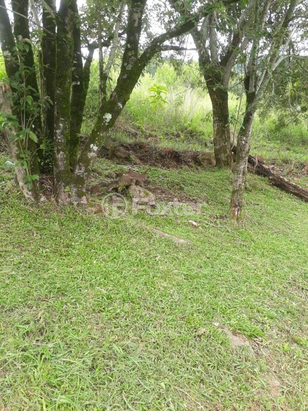 Foto do Anuncio