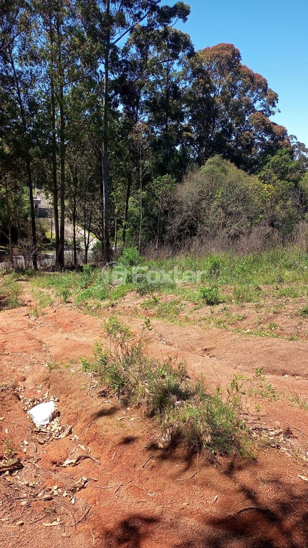 Foto do Anuncio