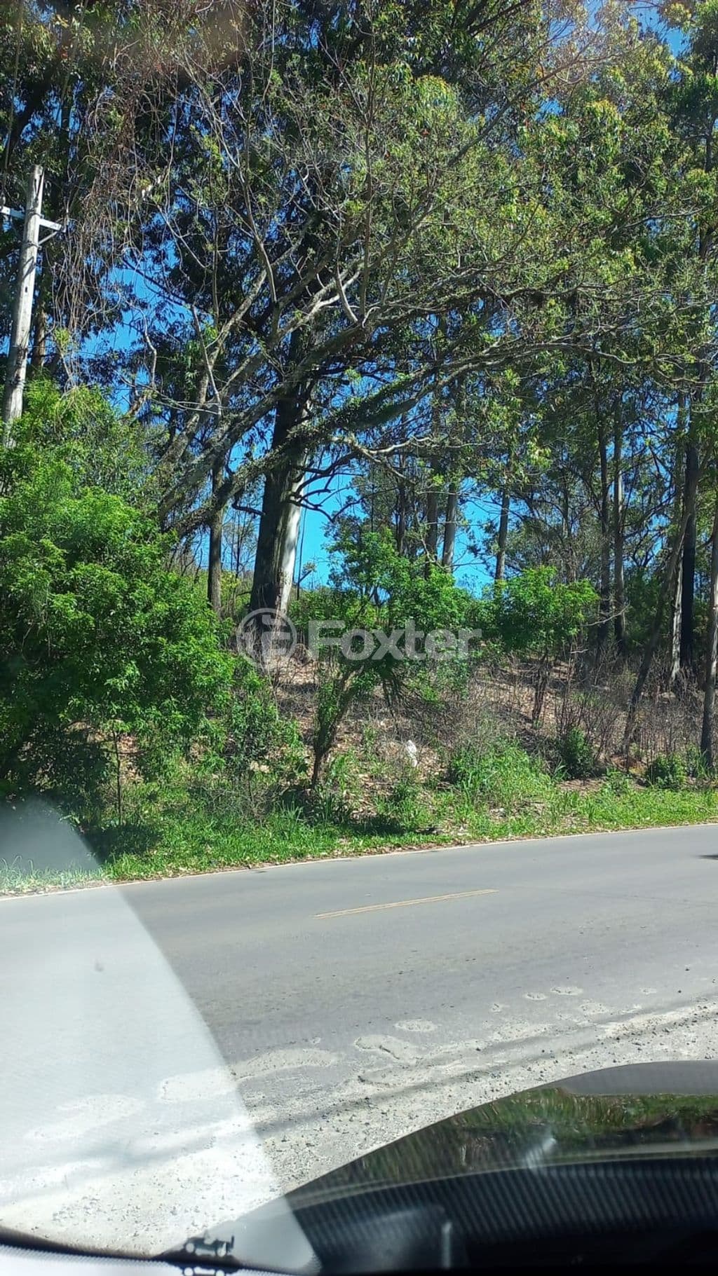 Foto do Anuncio