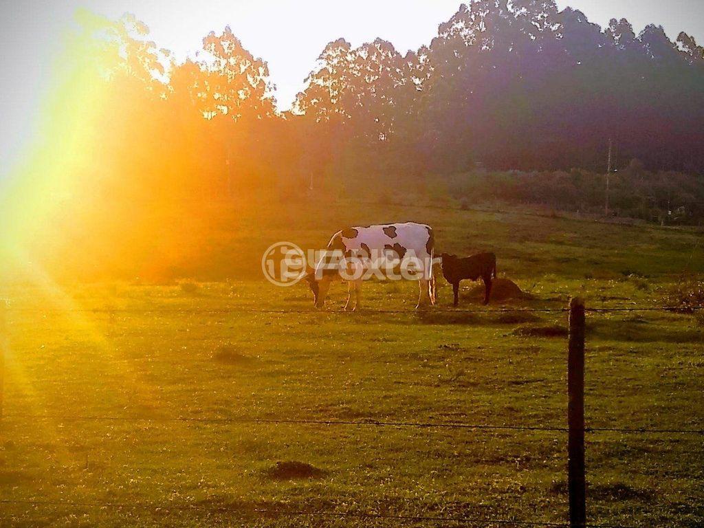 Foto do Anuncio