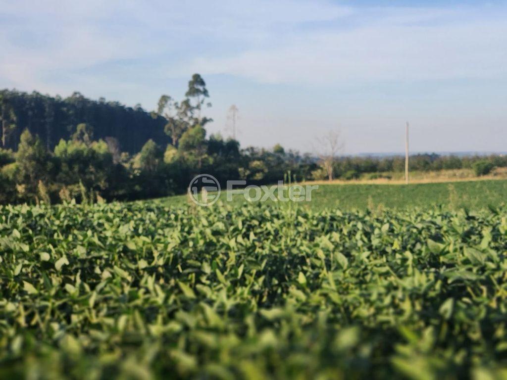 Foto do Anuncio